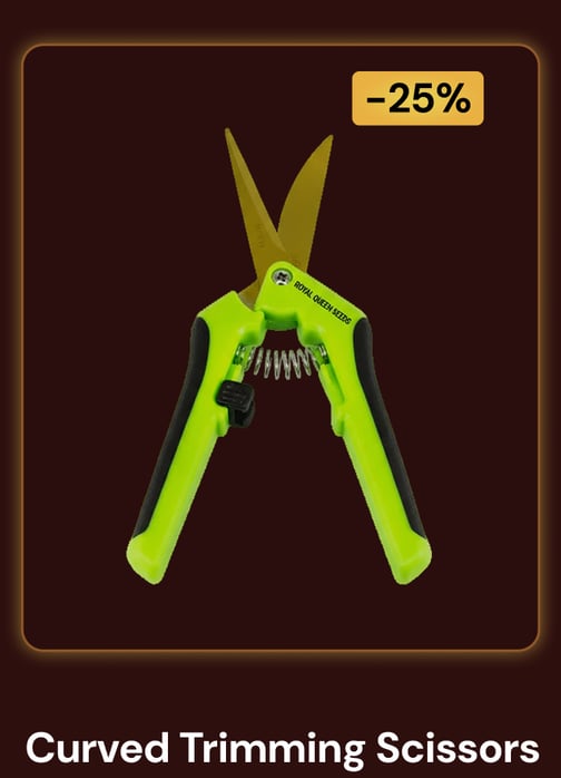 curved Trimming Scissors-2